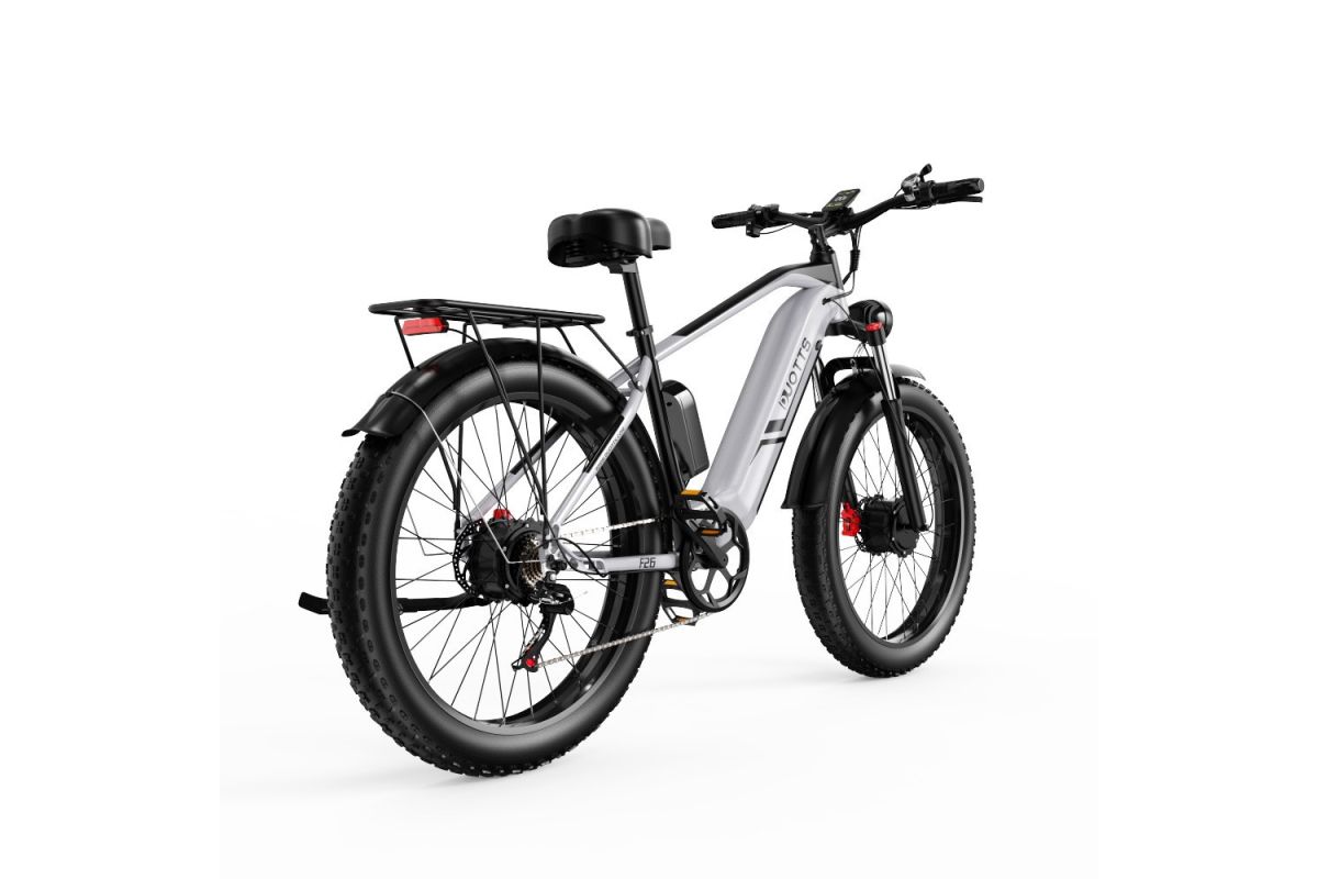 Vélo Electrique DUOTTS F26 Argent 26 pouces 50km/h 48V 20Ah 750W Double Moteur