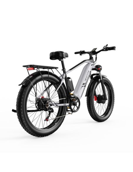 Vélo Electrique DUOTTS F26 Argent 26 pouces 50km/h 48V 20Ah 750W Double Moteur