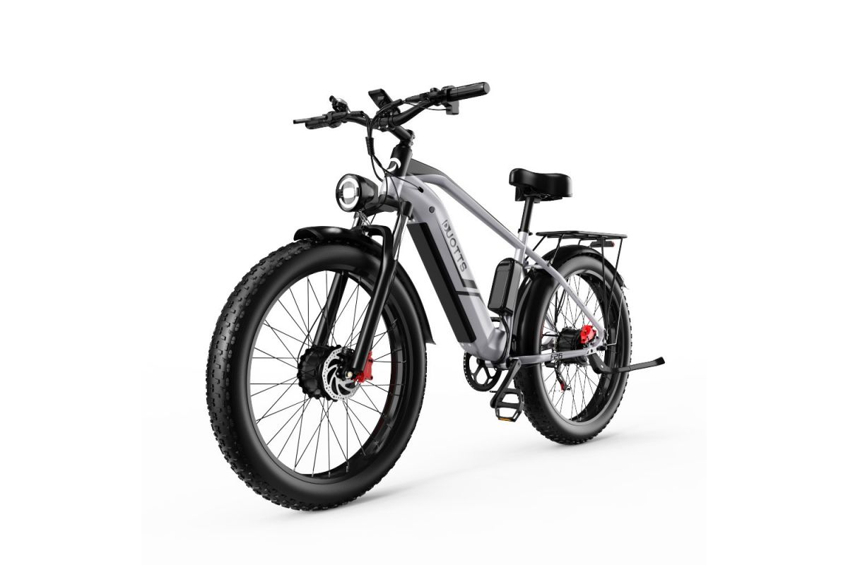 Vélo Electrique DUOTTS F26 Argent 26 pouces 50km/h 48V 20Ah 750W Double Moteur