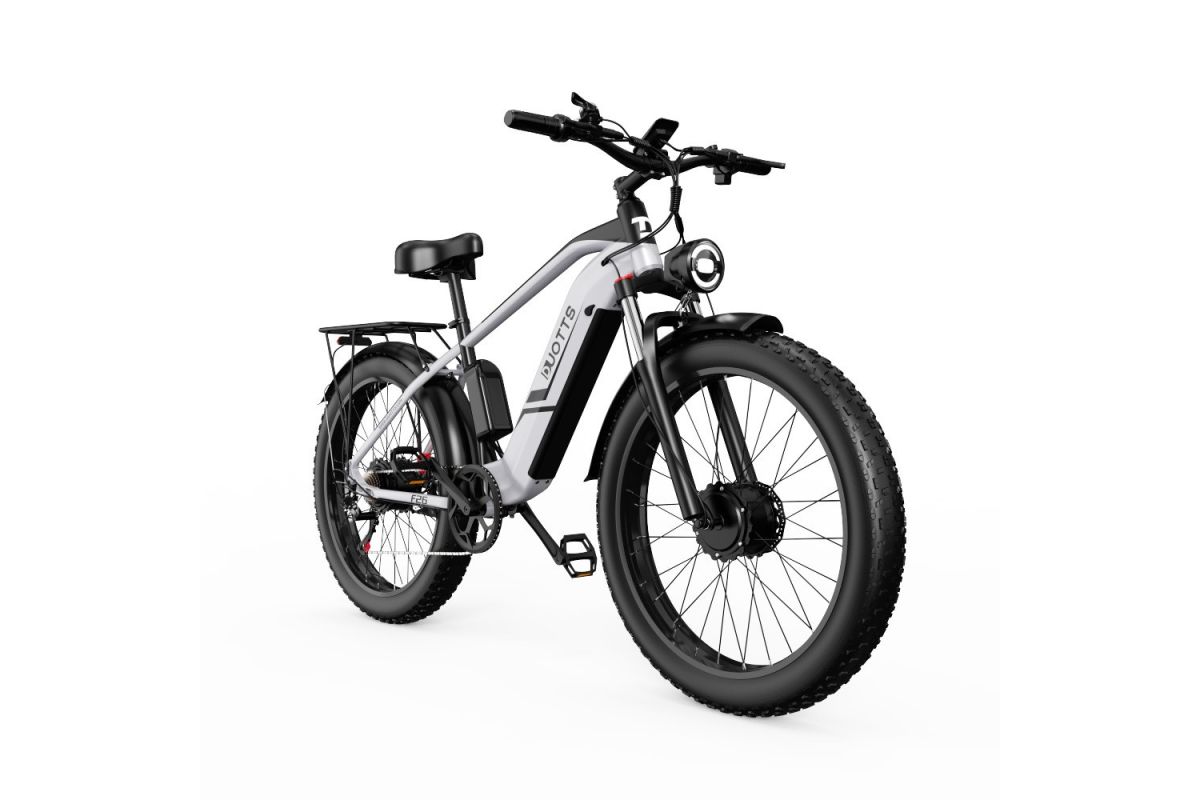 Vélo Electrique DUOTTS F26 Argent 26 pouces 50km/h 48V 20Ah 750W Double Moteur