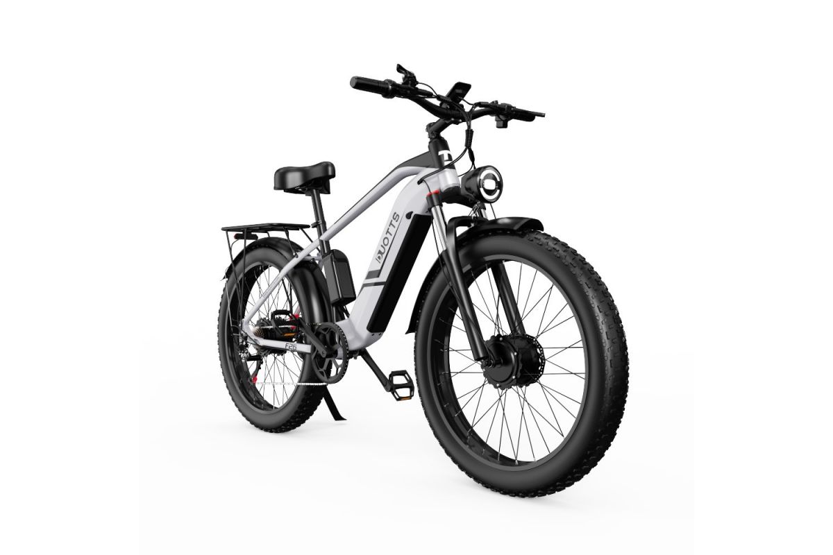 Vélo Electrique DUOTTS F26 Argent 26 pouces 50km/h 48V 20Ah 750W Double Moteur