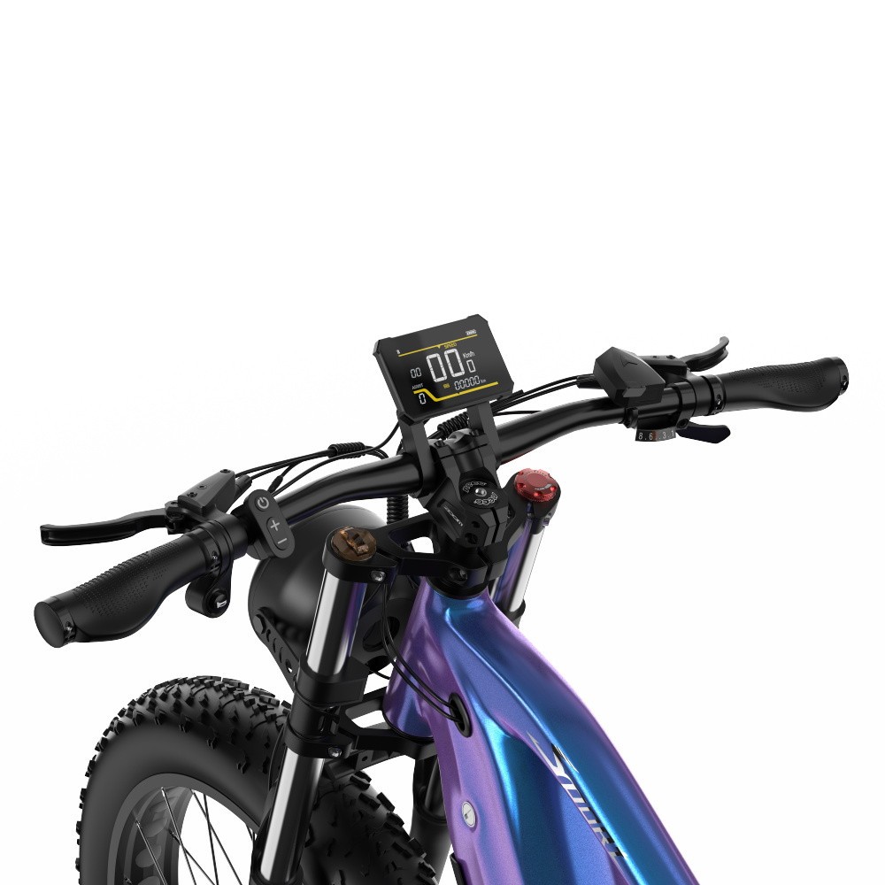 Vélo Electrique DUOTTS E26 Bleu-Violet 26 pouces 55km/h 48V 20Ah 750W Double Moteur 2