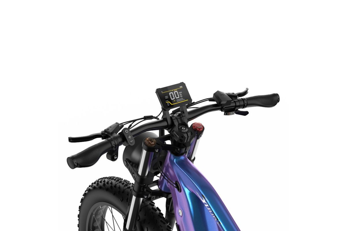 Vélo Electrique DUOTTS E26 Bleu-Violet 26 pouces 55km/h 48V 20Ah 750W Double Moteur