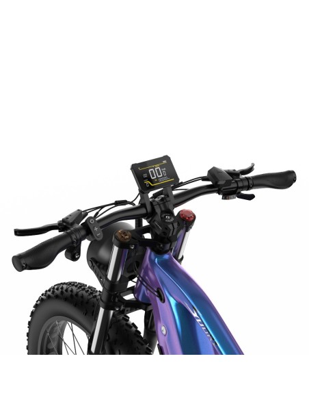 Vélo Electrique DUOTTS E26 Bleu-Violet 26 pouces 55km/h 48V 20Ah 750W Double Moteur