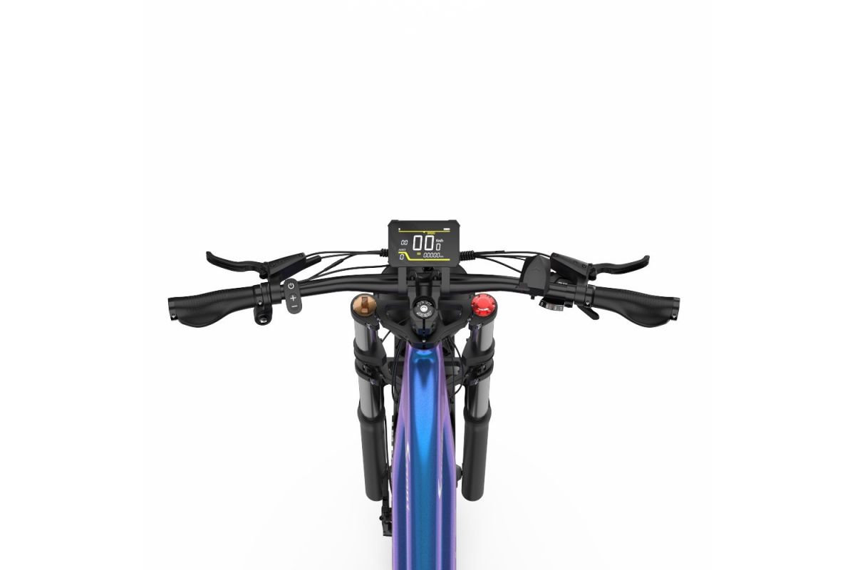 Vélo Electrique DUOTTS E26 Bleu-Violet 26 pouces 55km/h 48V 20Ah 750W Double Moteur