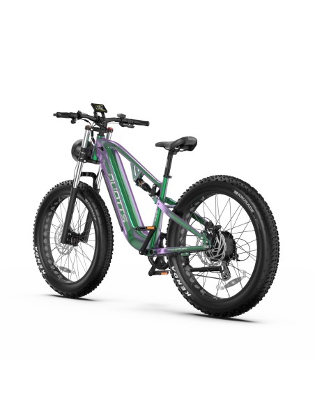 Vélo Electrique DUOTTS E26 Vert-Violet 26 pouces 55km/h 48V 20Ah 750W Double Moteur