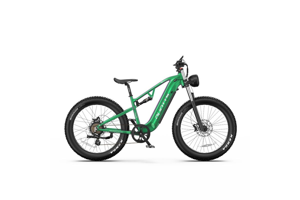 Vélo Electrique DUOTTS E26 Vert-Violet 26 pouces 55km/h 48V 20Ah 750W Double Moteur
