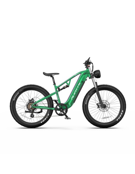 Vélo Electrique DUOTTS E26 Vert-Violet 26 pouces 55km/h 48V 20Ah 750W Double Moteur