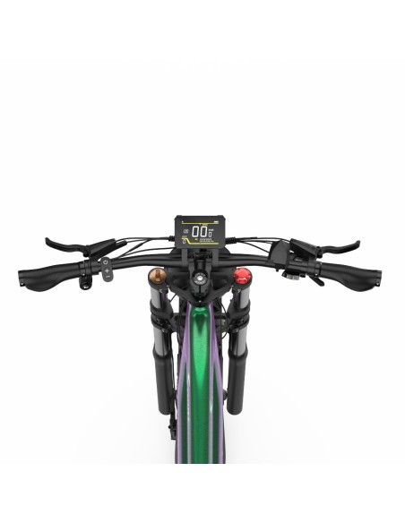 Vélo Electrique DUOTTS E26 Vert-Violet 26 pouces 55km/h 48V 20Ah 750W Double Moteur