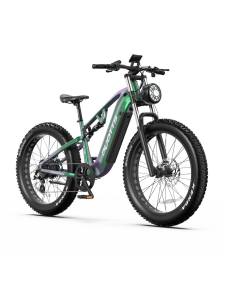 Vélo Electrique DUOTTS E26 Vert-Violet 26 pouces 55km/h 48V 20Ah 750W Double Moteur