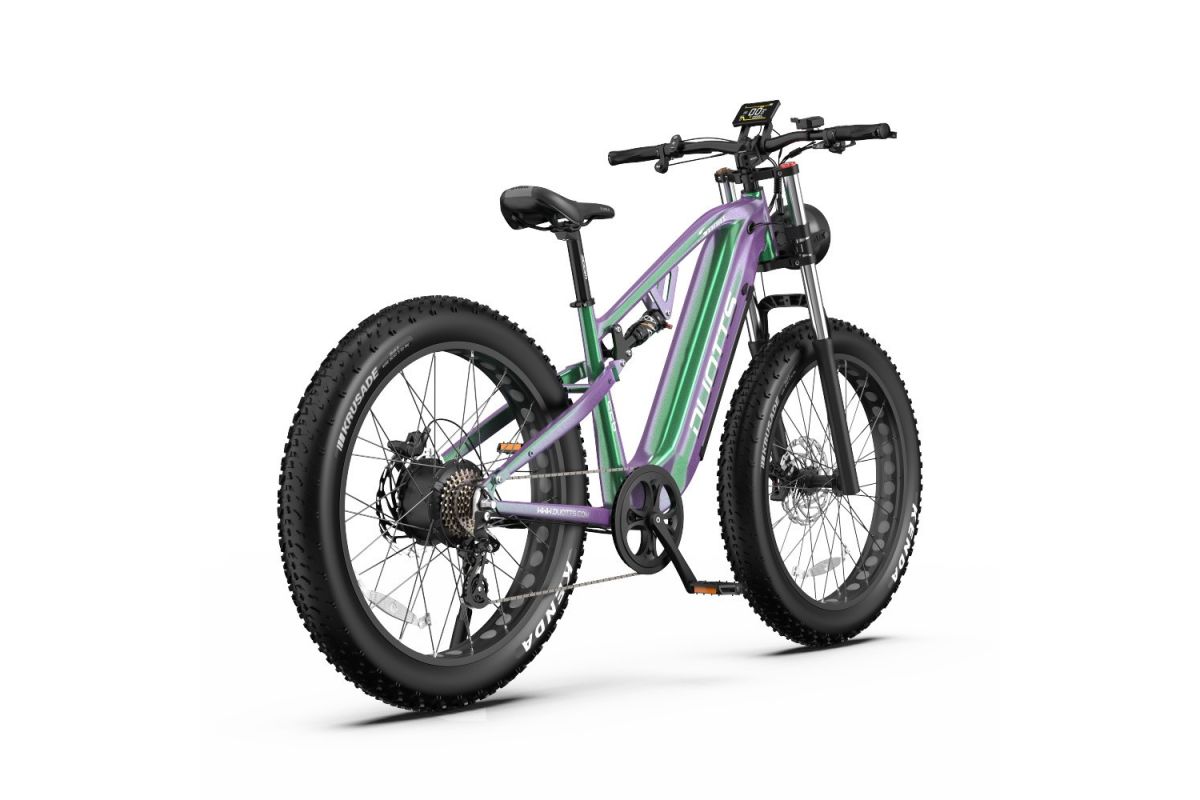 Vélo Electrique DUOTTS E26 Vert-Violet 26 pouces 55km/h 48V 20Ah 750W Double Moteur