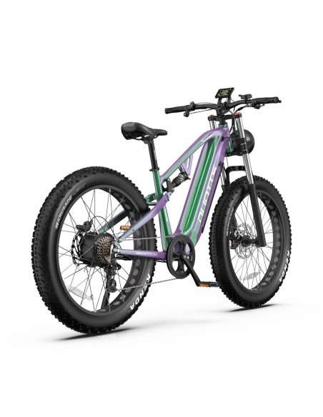 Vélo Electrique DUOTTS E26 Vert-Violet 26 pouces 55km/h 48V 20Ah 750W Double Moteur