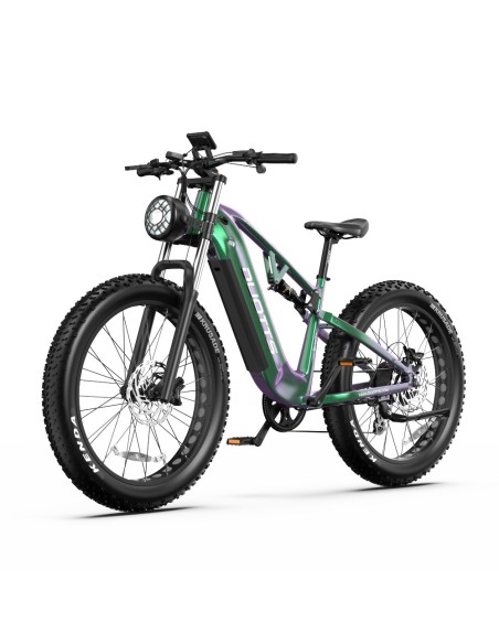 Vélo Electrique DUOTTS E26 Vert-Violet 26 pouces 55km/h 48V 20Ah 750W Double Moteur