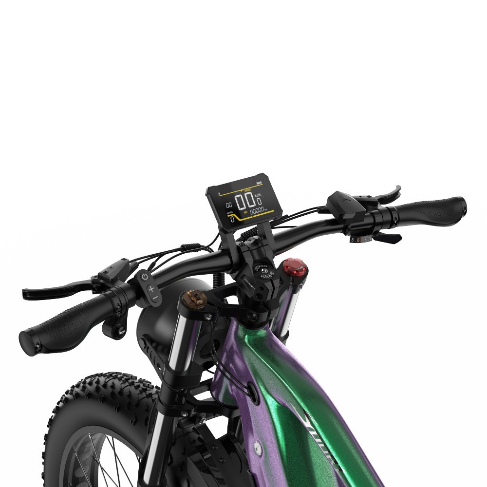 Vélo Electrique DUOTTS E26 Vert-Violet 26 pouces 55km/h 48V 20Ah 750W Double Moteur 2