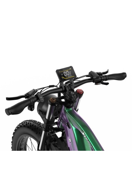 Vélo Electrique DUOTTS E26 Vert-Violet 26 pouces 55km/h 48V 20Ah 750W Double Moteur