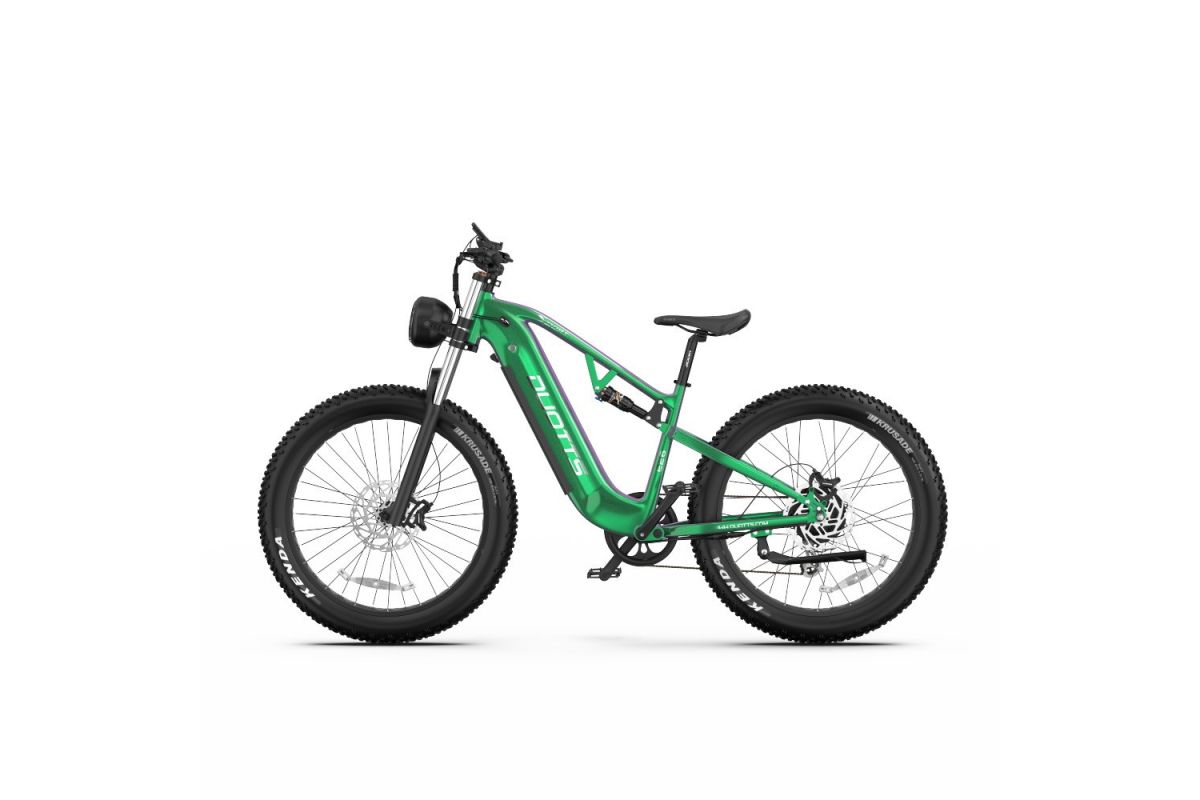 Vélo Electrique DUOTTS E26 Vert-Violet 26 pouces 55km/h 48V 20Ah 750W Double Moteur