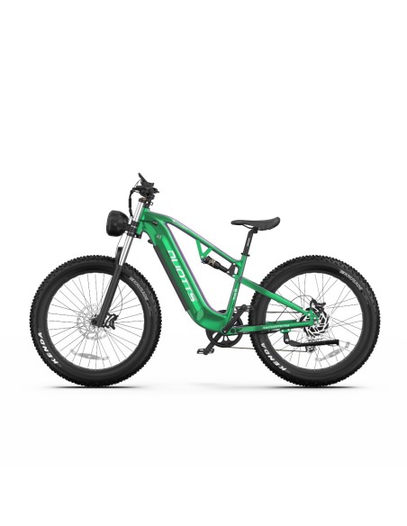 Vélo Electrique DUOTTS E26 Vert-Violet 26 pouces 55km/h 48V 20Ah 750W Double Moteur