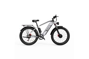 Vélo Electrique DUOTTS F26 Argent 26 pouces 50km/h 48V 20Ah 750W Double Moteur - Reconditionné