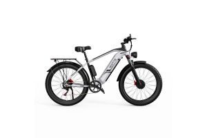 Vélo Electrique DUOTTS F26 Argent 26 pouces 50km/h 48V 20Ah 750W Double Moteur - Reconditionné 2