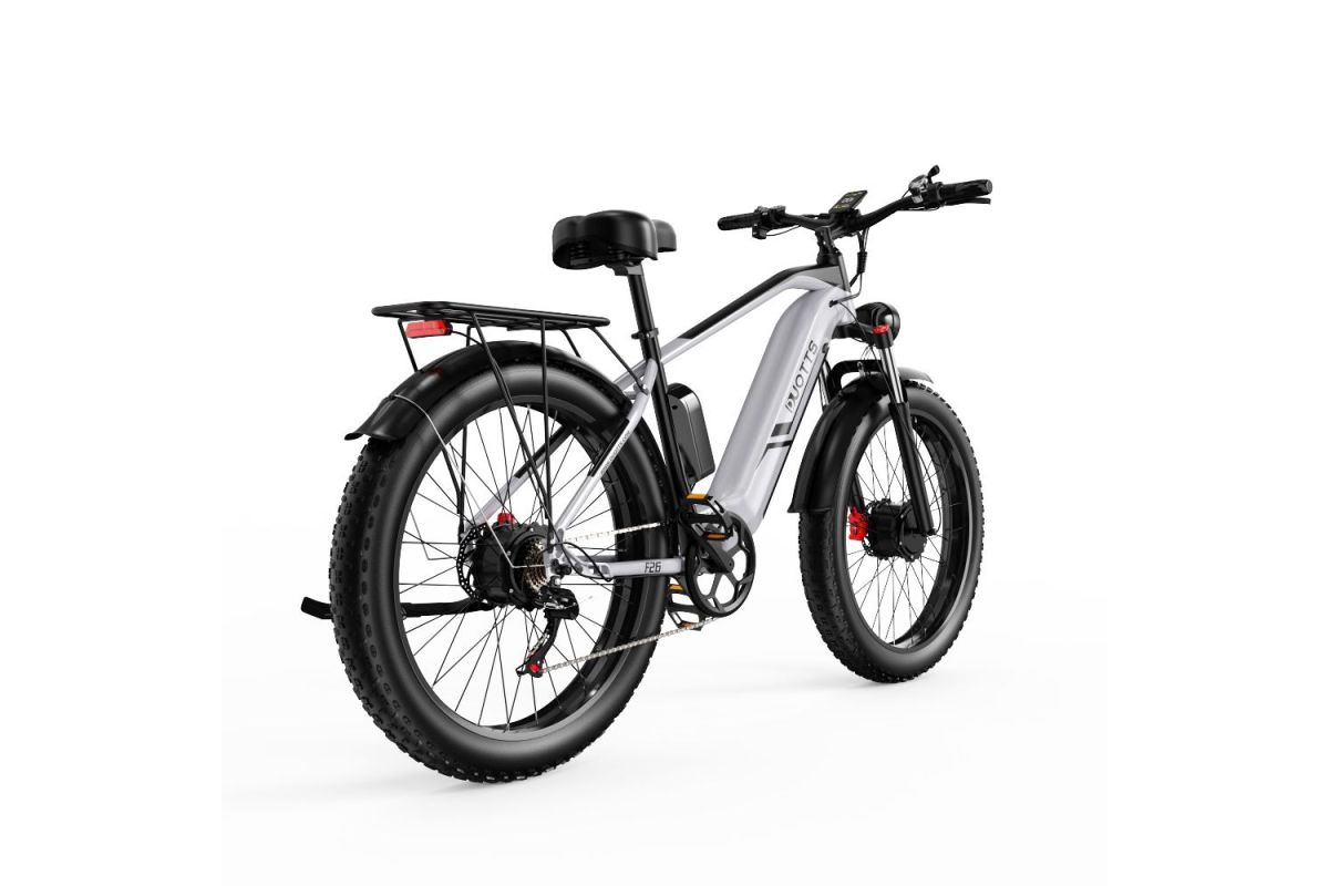 Vélo Electrique DUOTTS F26 Argent 26 pouces 50km/h 48V 20Ah 750W Double Moteur - Reconditionné