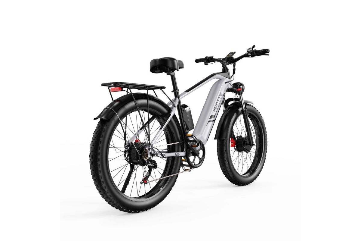 Vélo Electrique DUOTTS F26 Argent 26 pouces 50km/h 48V 20Ah 750W Double Moteur - Reconditionné