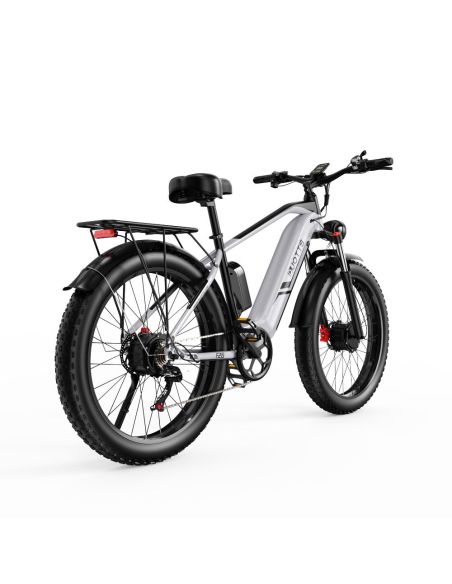 Vélo Electrique DUOTTS F26 Argent 26 pouces 50km/h 48V 20Ah 750W Double Moteur - Reconditionné