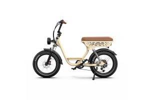 Vélo électrique Onesport w77