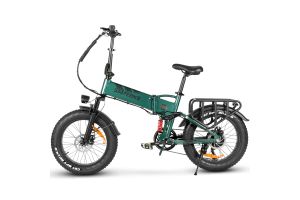 Vélo électrique SAMEBIKE RS-A02 PRO Vert 1000W/15Ah 2