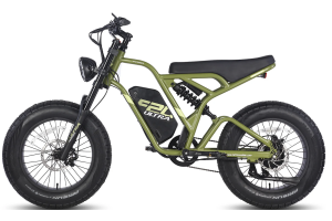 Fafrees F20 Ultra Vert 2