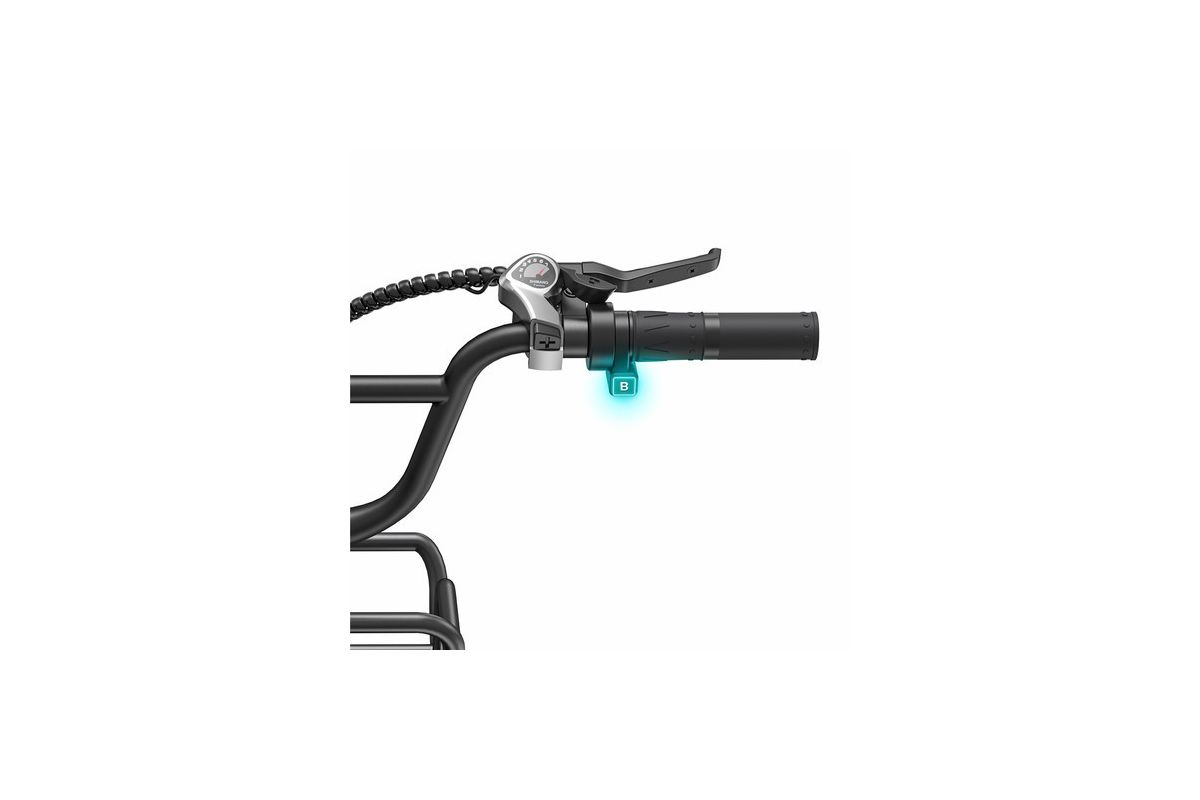 ENGWE L20 Boost noir Vélo électrique 250W