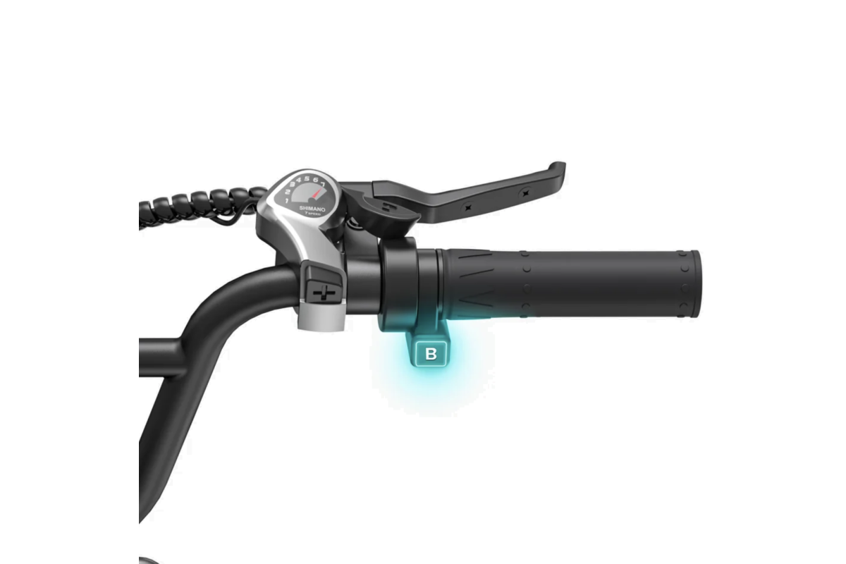 ENGWE L20 Boost noir Vélo électrique 250W