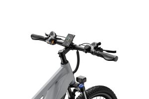 Vélo Électrique Duotts E29 Gris 2