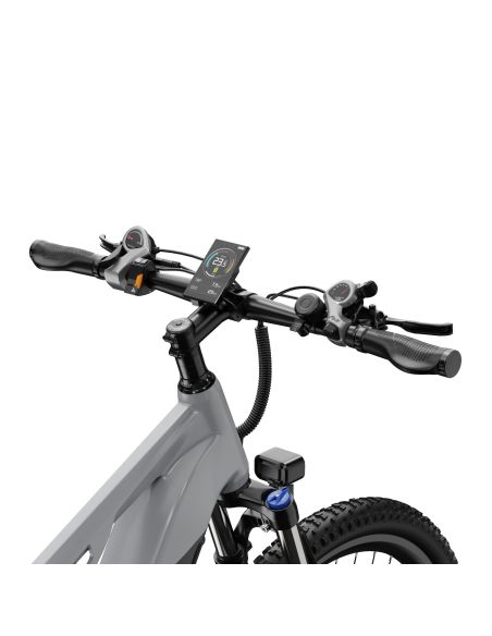 Vélo Électrique Duotts E29 Gris Vélo Électrique Duotts E29 Gris