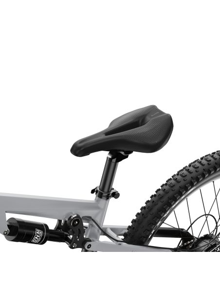 Vélo Électrique Duotts E29 Gris Vélo Électrique Duotts E29 Gris