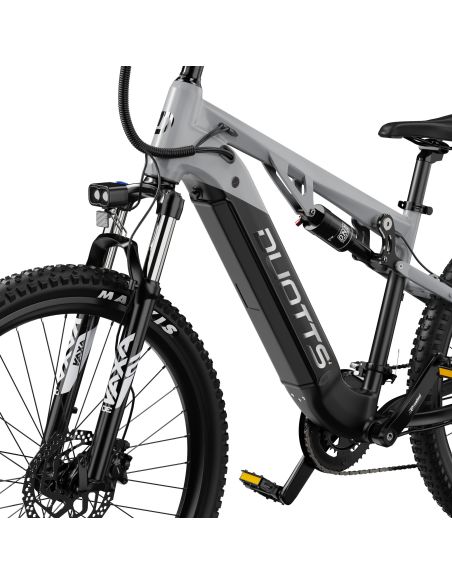 Vélo Électrique Duotts E29 Gris Vélo Électrique Duotts E29 Gris