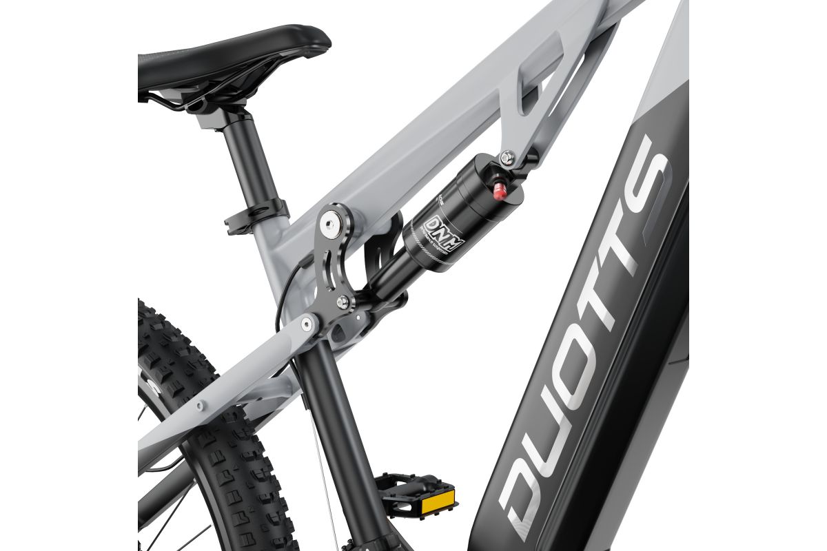 Vélo Électrique Duotts E29 Gris