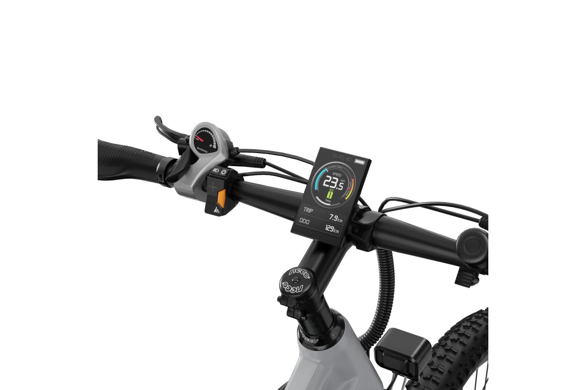 Vélo Électrique Duotts E29 Gris