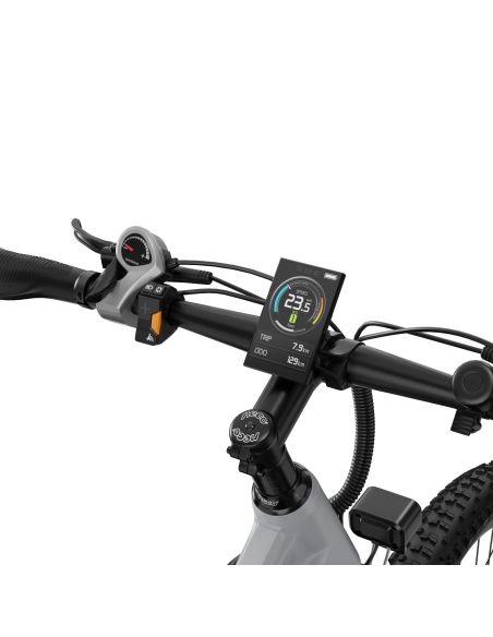 Vélo Électrique Duotts E29 Gris Vélo Électrique Duotts E29 Gris