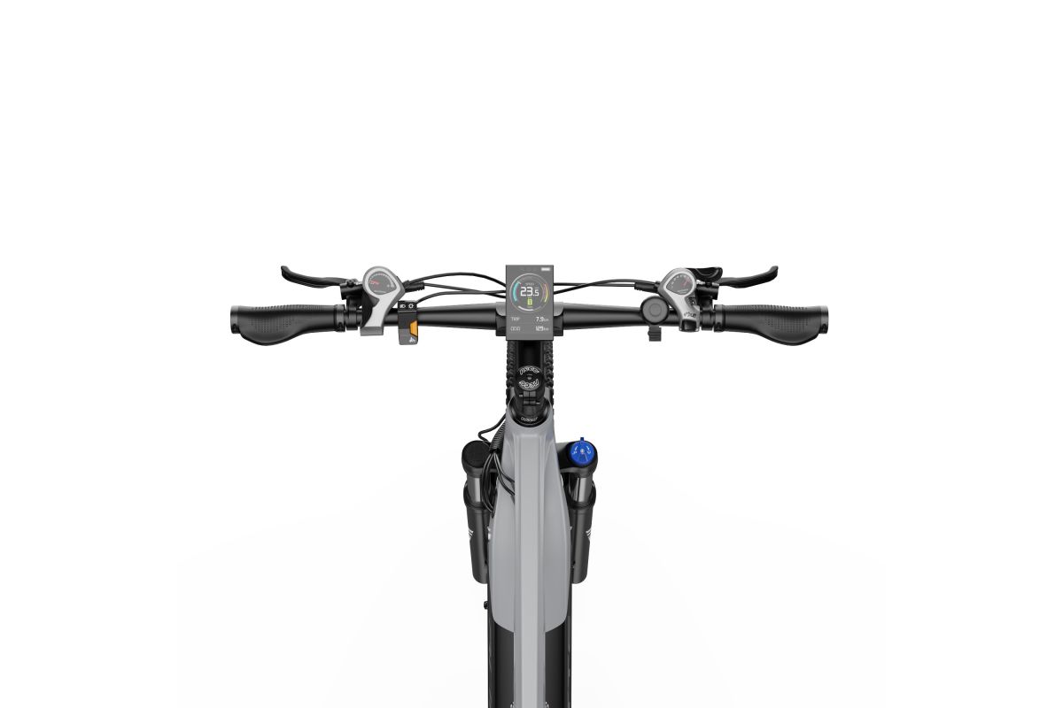 Vélo Électrique Duotts E29 Gris