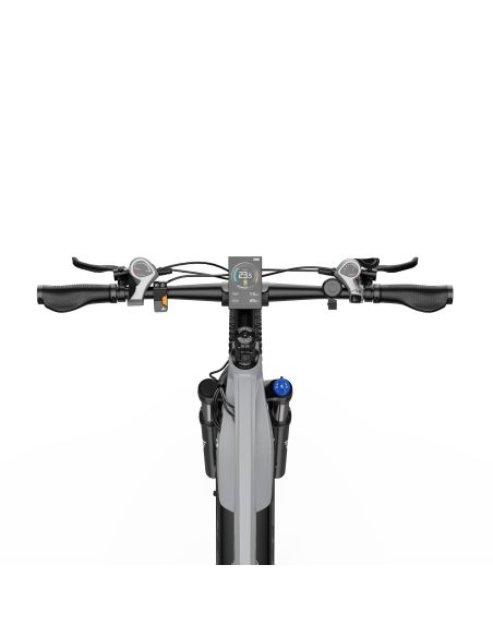 Vélo Électrique Duotts E29 Gris Vélo Électrique Duotts E29 Gris