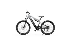 Vélo Électrique Duotts E29 Gris