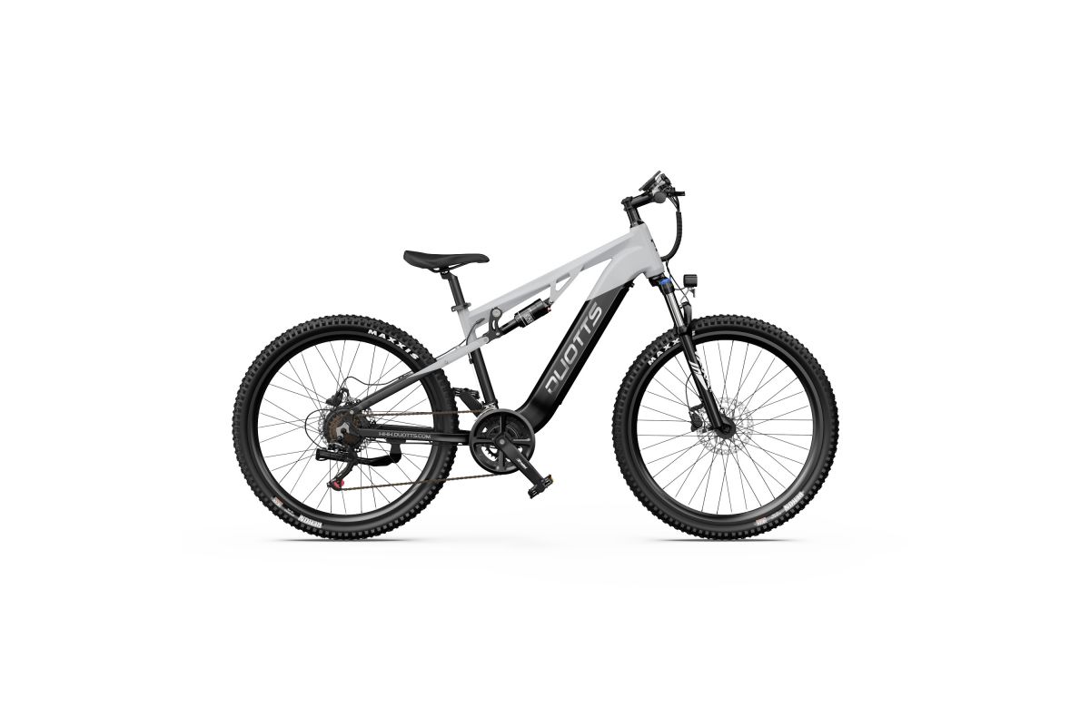 Vélo Électrique Duotts E29 Gris