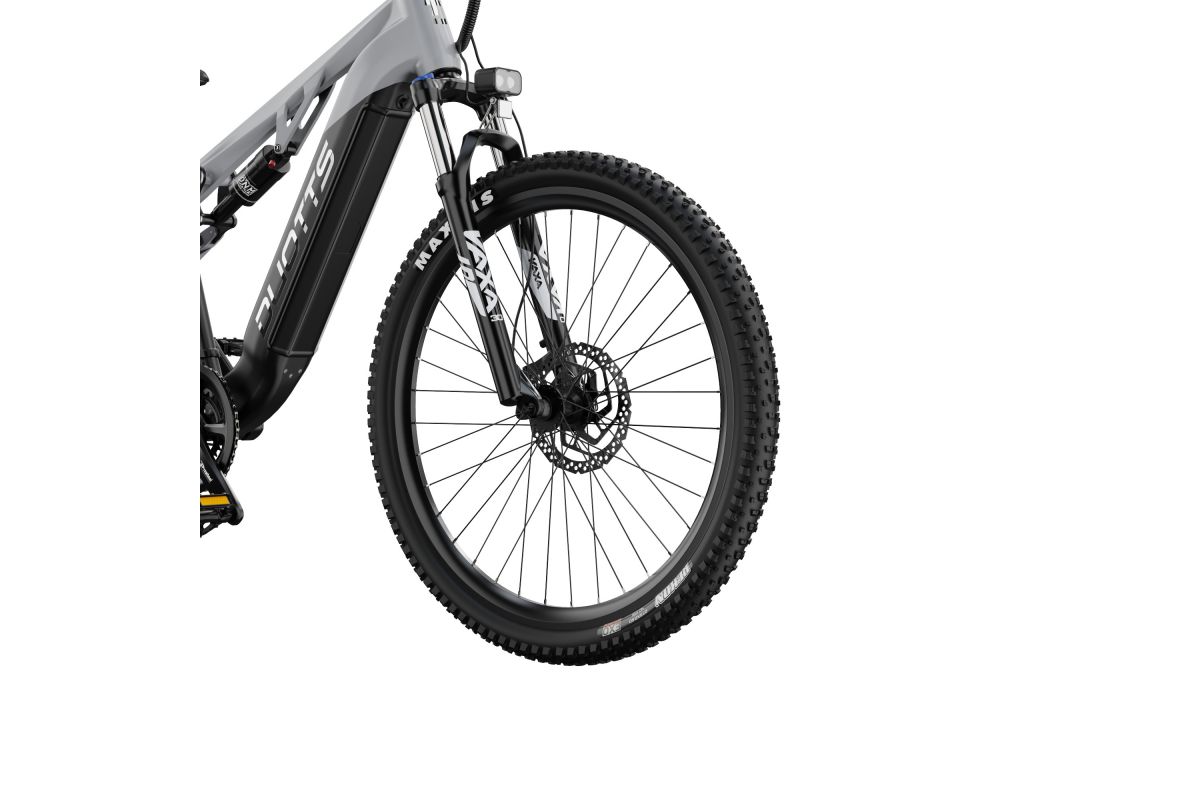 Vélo Électrique Duotts E29 Gris