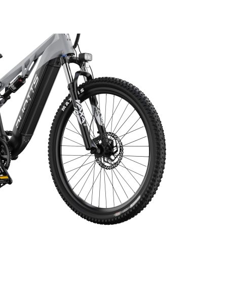 Vélo Électrique Duotts E29 Gris Vélo Électrique Duotts E29 Gris