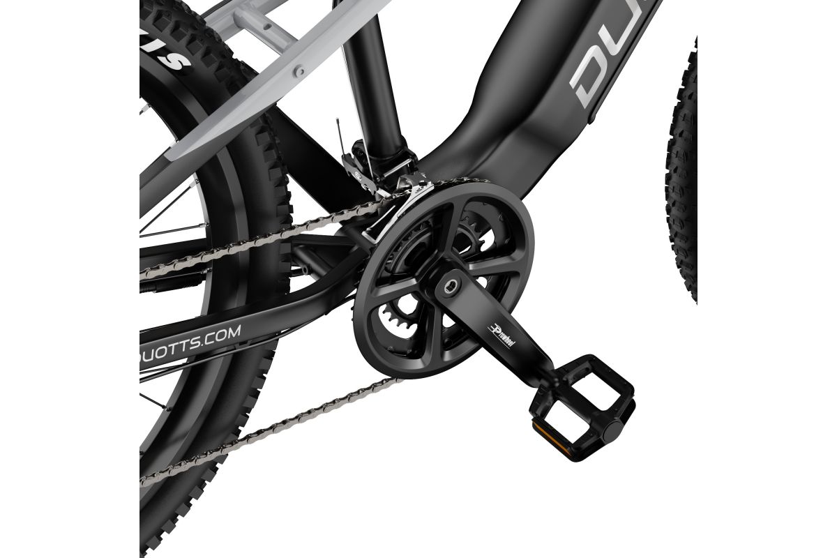 Vélo Électrique Duotts E29 Gris