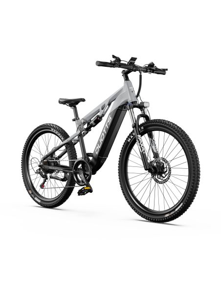 Vélo Électrique Duotts E29 Gris Vélo Électrique Duotts E29 Gris