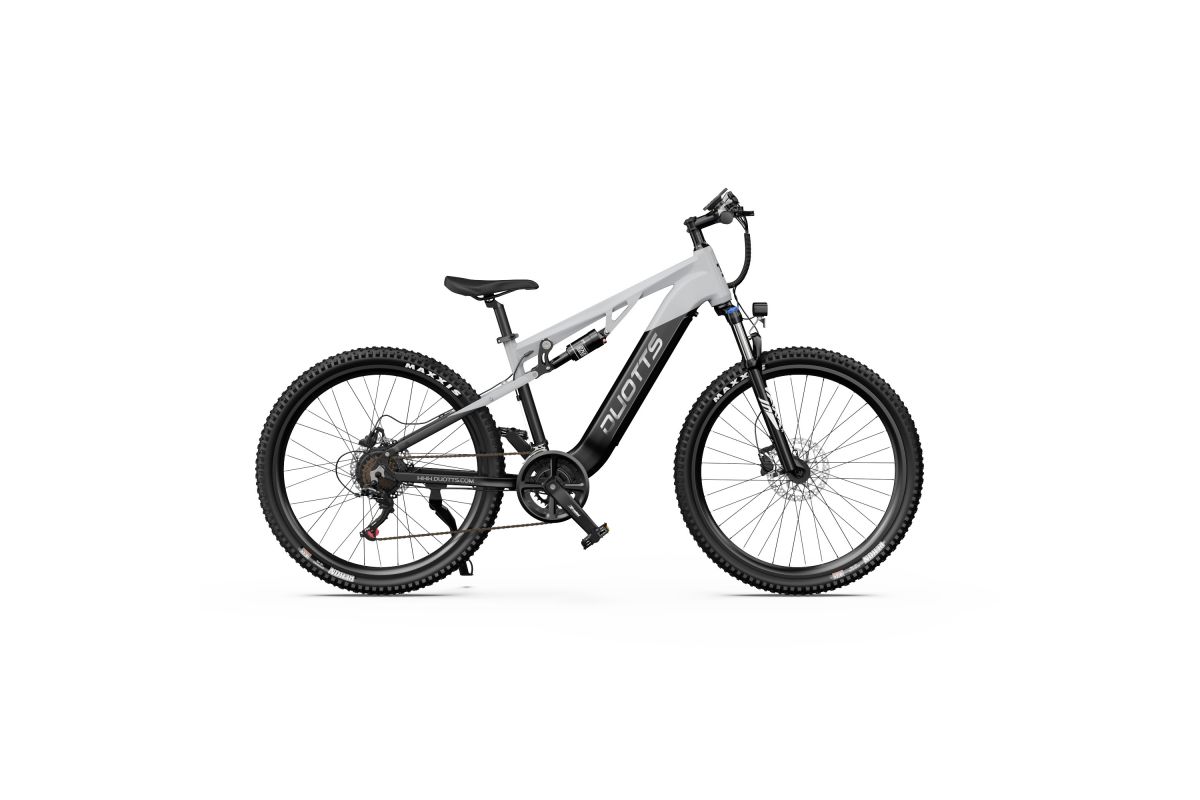 Vélo Électrique Duotts E29 Gris