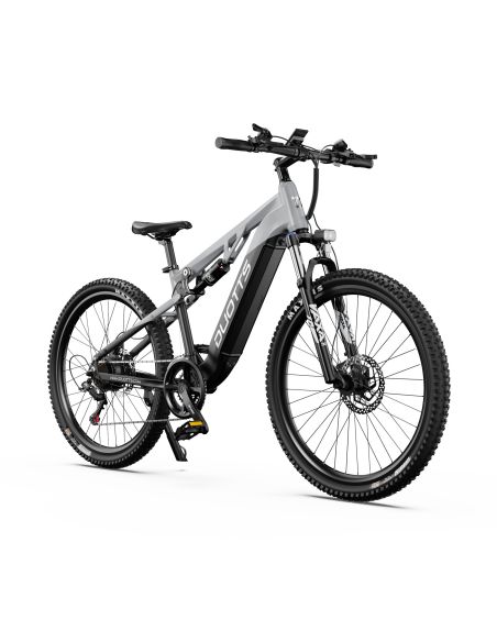 Vélo Électrique Duotts E29 Gris Vélo Électrique Duotts E29 Gris