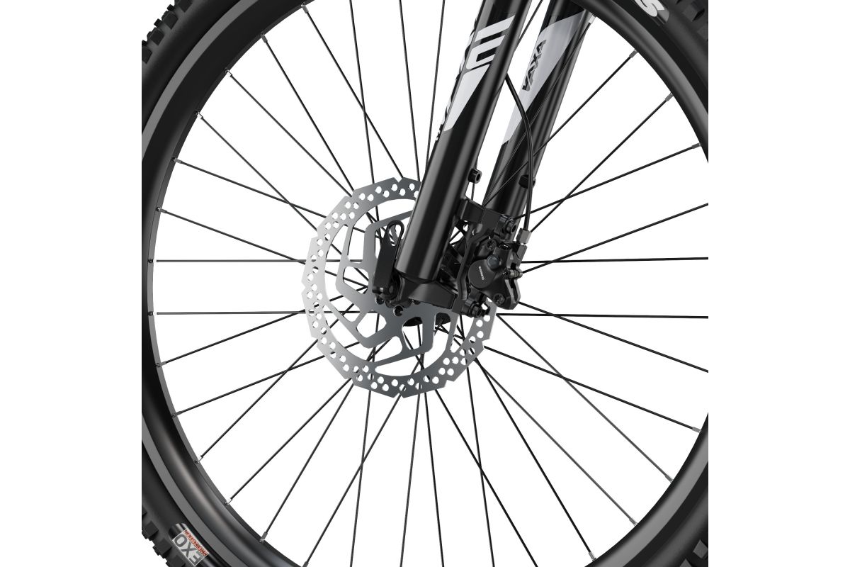 Vélo Électrique Duotts E29 - Rouge