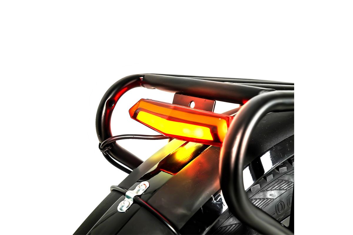 Vélo électrique CMACEWHEEL Y20 20 pouces 750W moteur 48V 15Ah vitesse 40 km/h